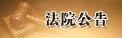法院公告